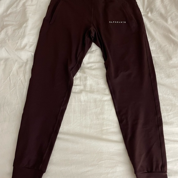 Alphalete Premium Jogger - Picture 3 of 3